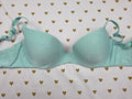 Victorias Secret PINK Vintage Mint 32A Bra